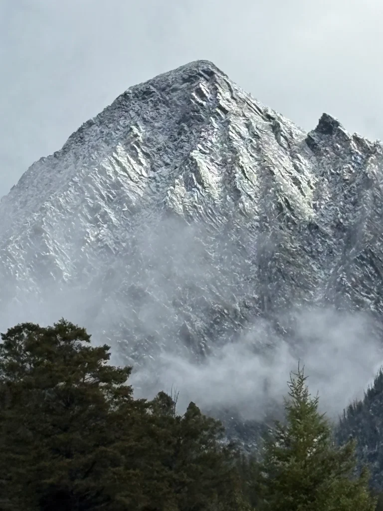 mountain view of hunter shooting with sherman wildcat cartridges brass
